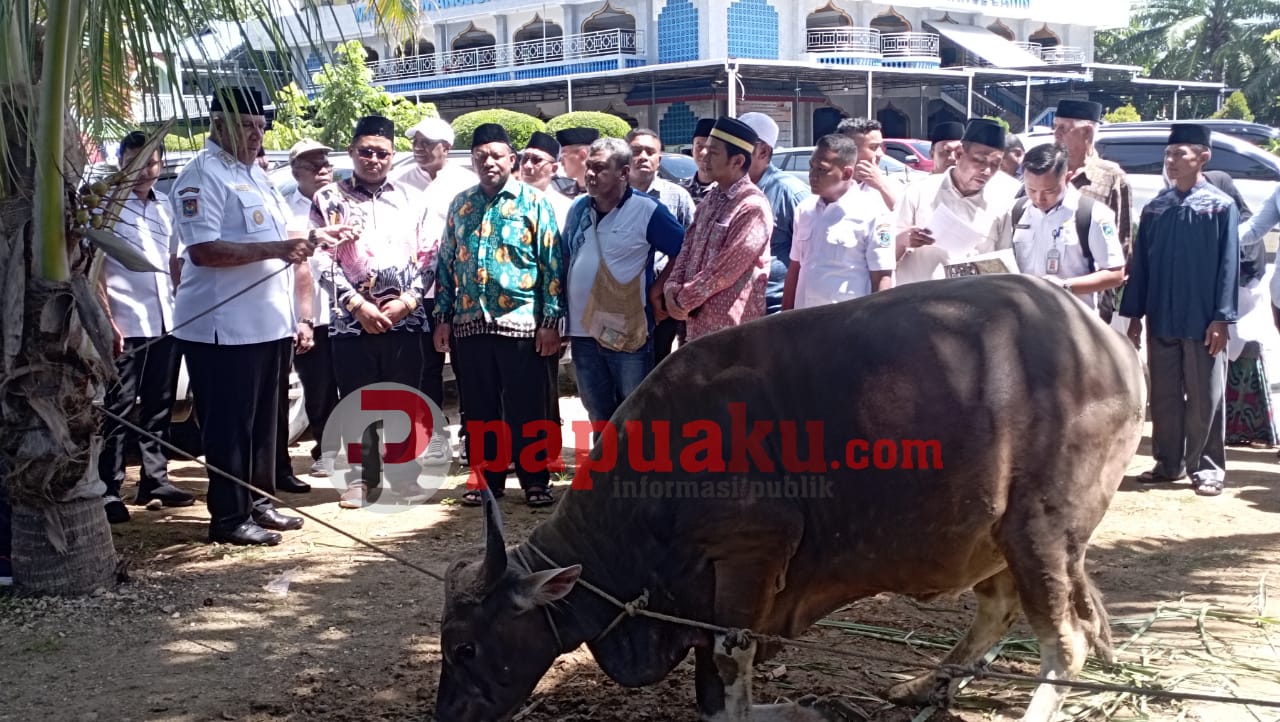 Paulus Waterpauw Serahkan Bantuan 45 Hewan Kurban Papuaku