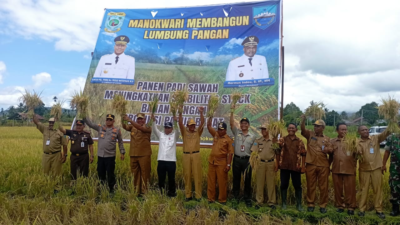 Panen Raya di Kampung Desai