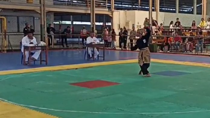 Pencak silat O2SN