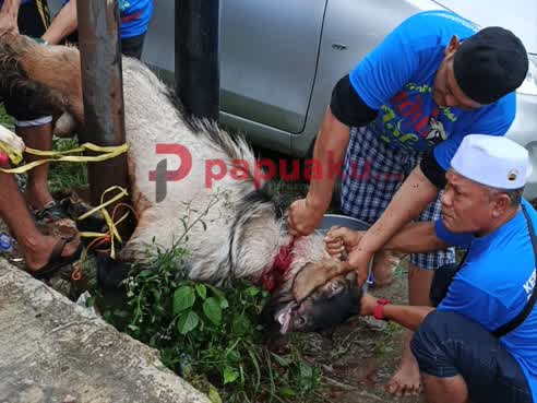 Kerukunan Keluarga Surabaya Manokwari